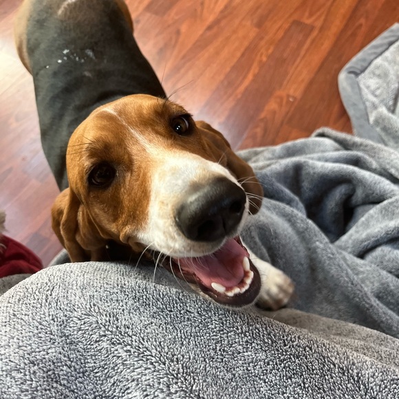 Meet your Posher, Kathleen - Picture 3 of 3